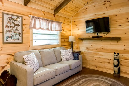 Stunning Cabin Close to Tryon and the Foothills of Mill Spring near Lake Lure, North Carolina - Mill Spring, North Carolina - glamping.directory