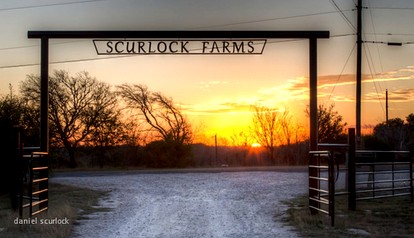 Romantic Luxury Cottage Rental for Two with Fireplace in Texas Hill Country - Georgetown, Texas - glamping.directory