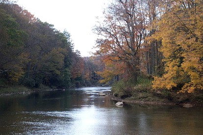 Cozy Cabin Rental in the Woods near Swallow Falls State Park, Maryland - Oakland, Maryland - glamping.directory