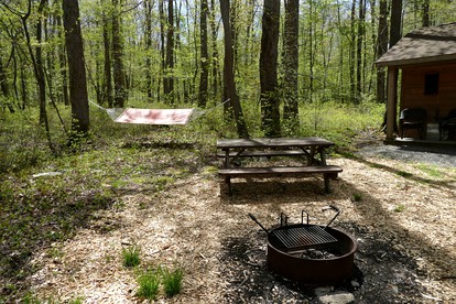 Cozy Cabin Rental in the Woods near Swallow Falls State Park, Maryland - Oakland, Maryland - glamping.directory
