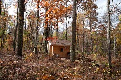 Cozy Cabin Rental in the Woods near Swallow Falls State Park, Maryland - Oakland, Maryland - glamping.directory