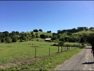 Spacious Fall Getaway with Two Separate Cottages near Napa, California - Vacaville, California - glamping.directory