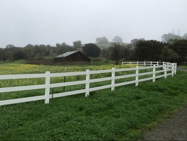 Spacious Fall Getaway with Two Separate Cottages near Napa, California - Vacaville, California - glamping.directory