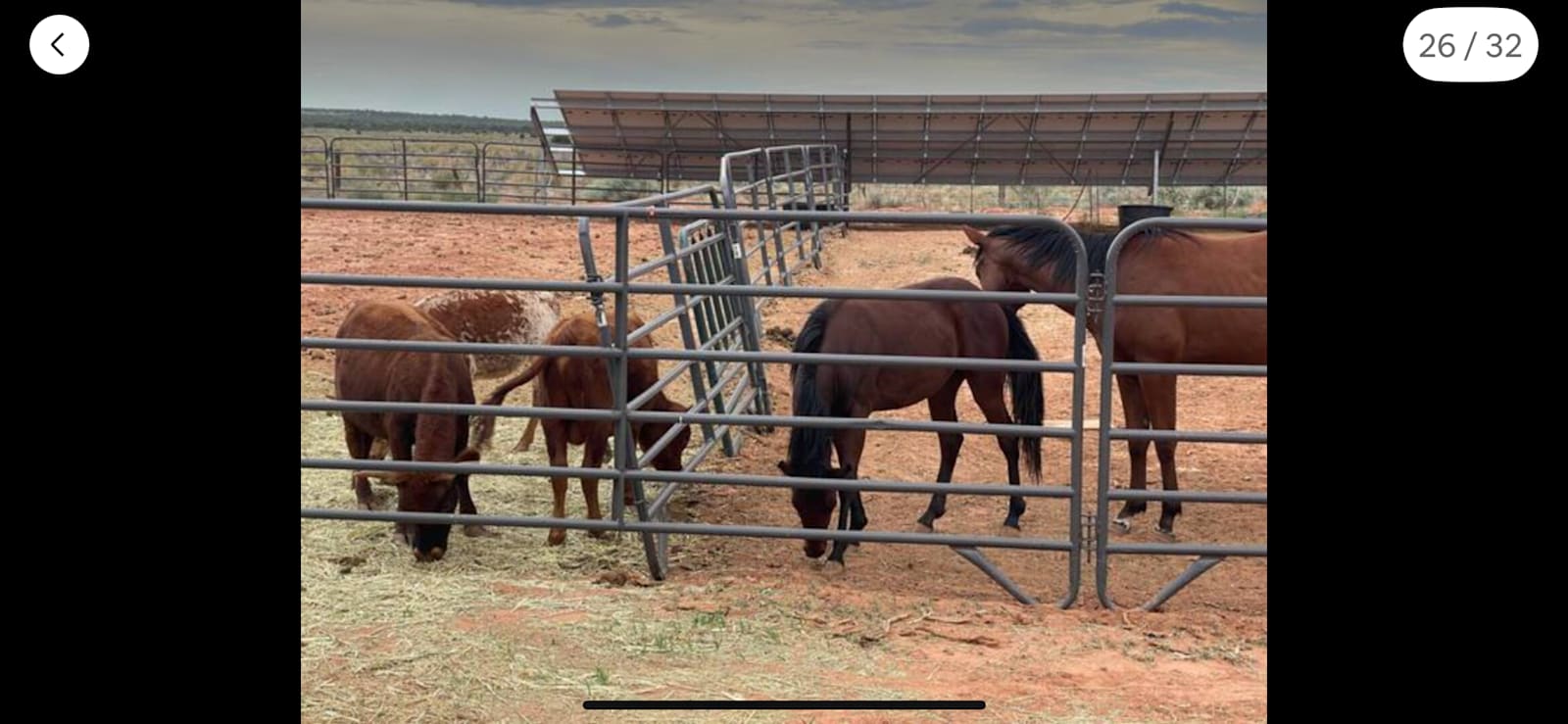 Wild West 40 - Cane Beds, Arizona - glamping.directory