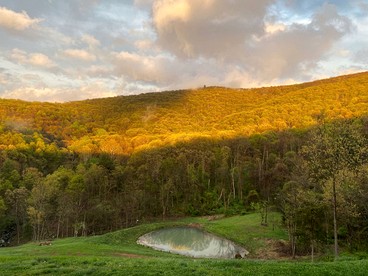 Peaceful Log Cabin on Private Acres with Creek & Pond in Rileyville, Virginia - Rileyville, Virginia - glamping.directory