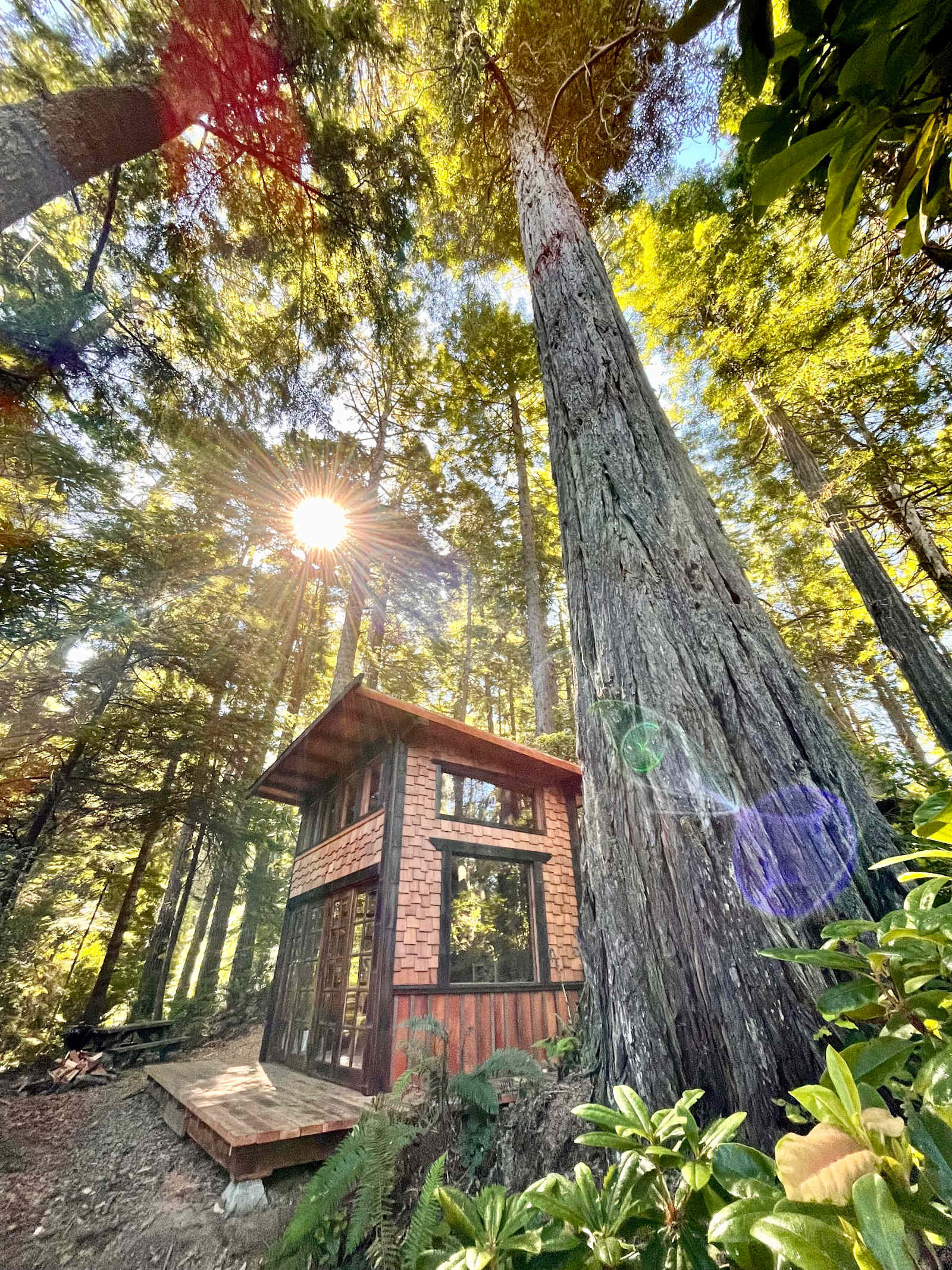 Foxfern - Mendocino, California - glamping.directory