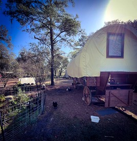 Family Wagon, Perfect for a Gainesville Escape - glamping.directory