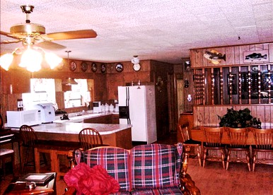 Rustic Cabin Rental in the Woods with Private Dock on Lake Dardanelle, Arkansas - Scranton, Arkansas - glamping.directory