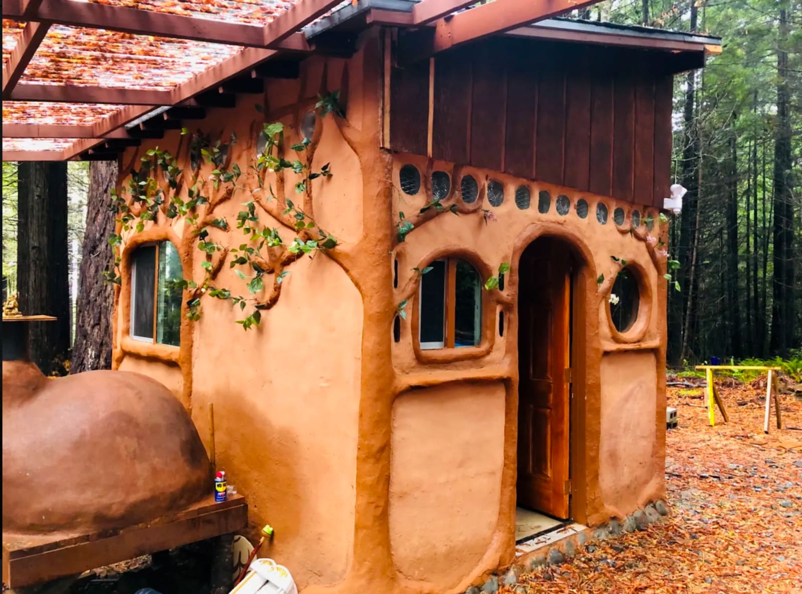 Ocean-view Redwood Forest Glamping - California - glamping.directory