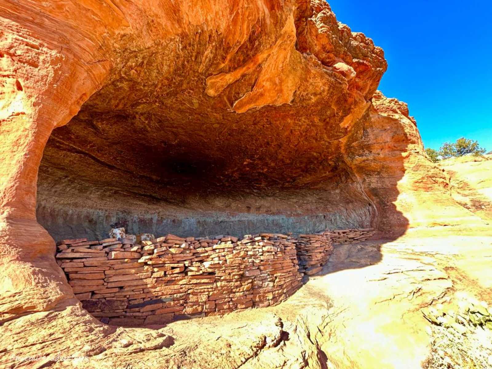 Verde River Vortex - Clarkdale, Arizona - glamping.directory