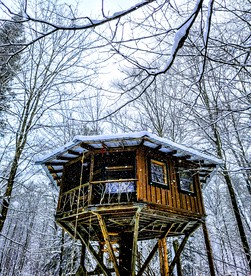 Rustic Glamping Shelter for an Outdoor Getaway in the Adirondacks, New York - Paul Smiths, New York - glamping.directory