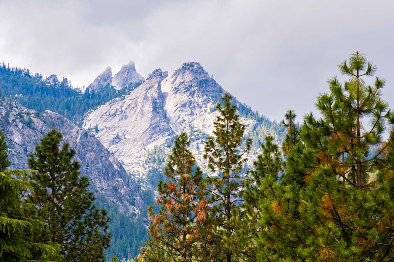 Jubilee Railroad Wilderness Lodge - Dunsmuir, California - glamping.directory