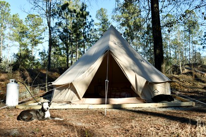 Glamping Under the Stars Bell Tent near Hilton Head - glamping.directory