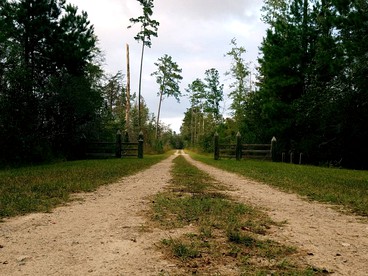 Glamping Under the Stars Bell Tent near Hilton Head - Ridgeland, South Carolina - glamping.directory