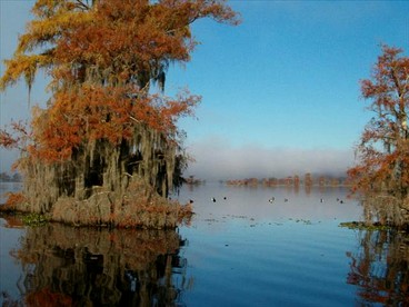 Charming Cabin Rental in the Woods along Lake Caddo in Texas - Jefferson, Texas - glamping.directory