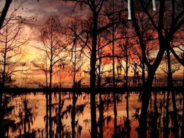 Charming Cabin Rental in the Woods along Lake Caddo in Texas - Jefferson, Texas - glamping.directory
