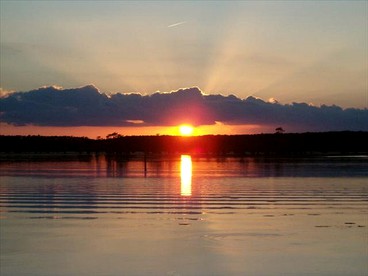Charming Cabin Rental in the Woods along Lake Caddo in Texas - Jefferson, Texas - glamping.directory