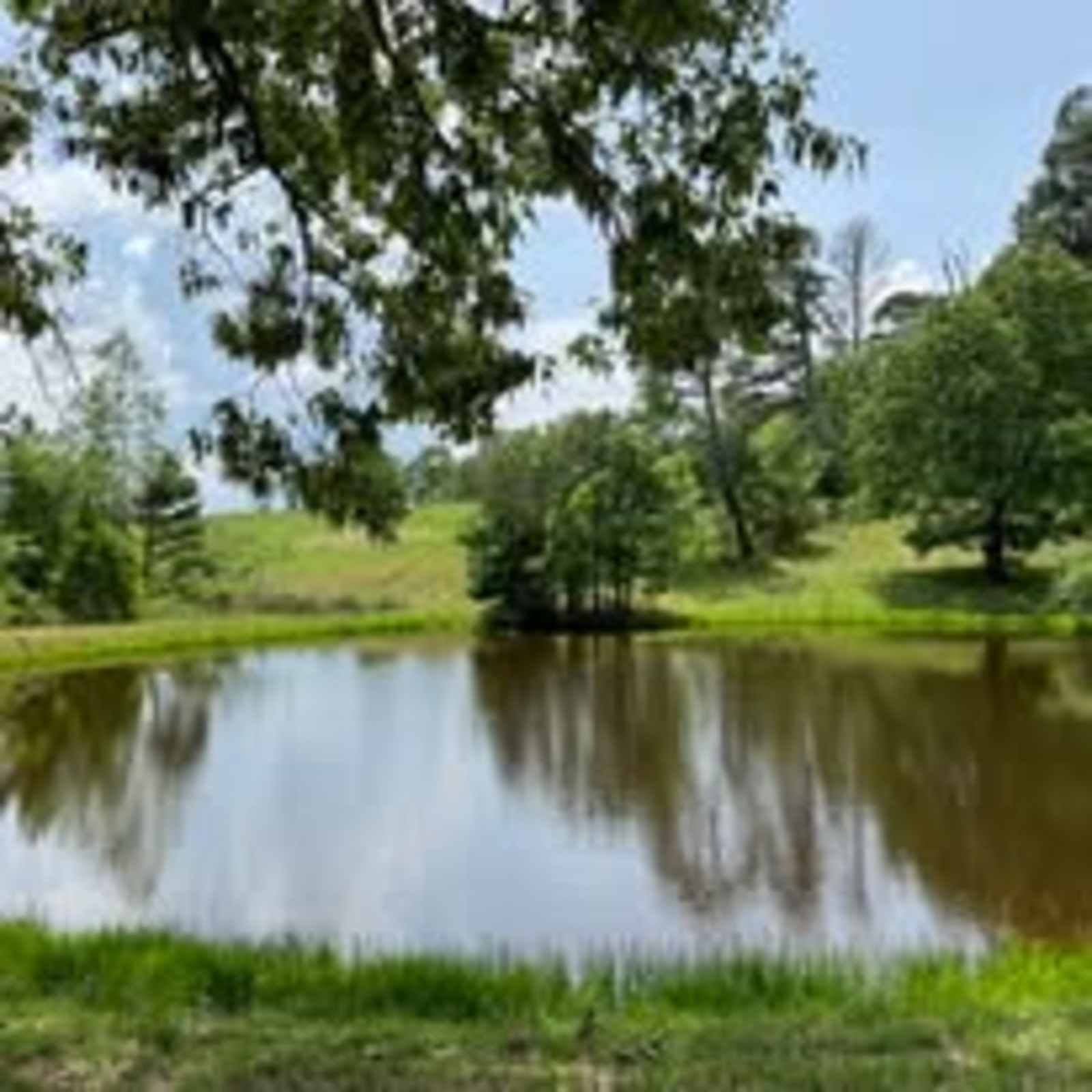 Full View Farms - Everton, Arkansas - glamping.directory