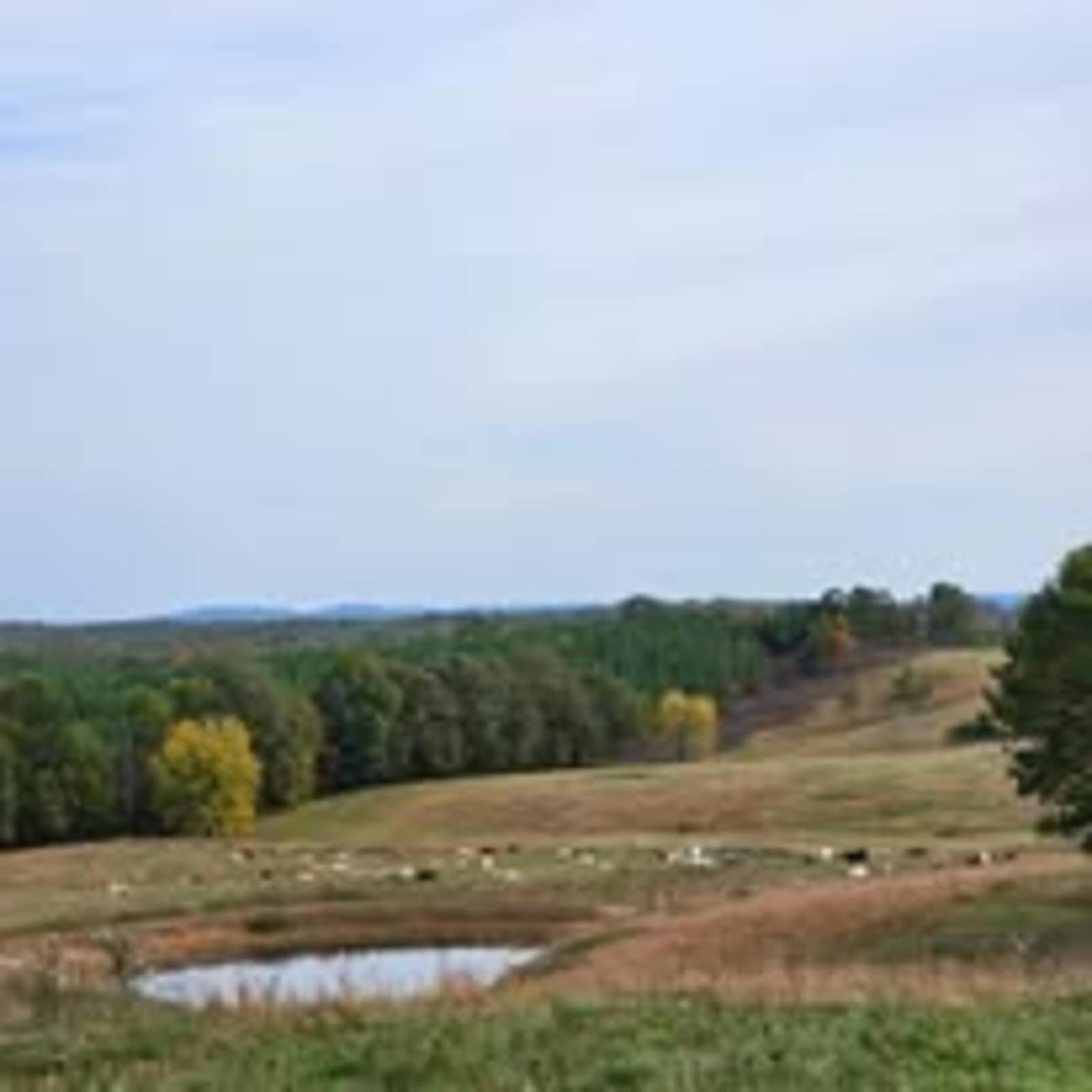 Full View Farms - Everton, Arkansas - glamping.directory