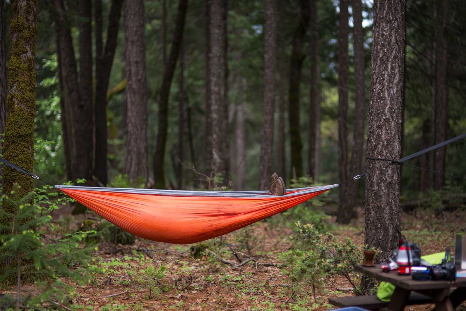 Maple Creek Ranch - Cohasset, California - glamping.directory