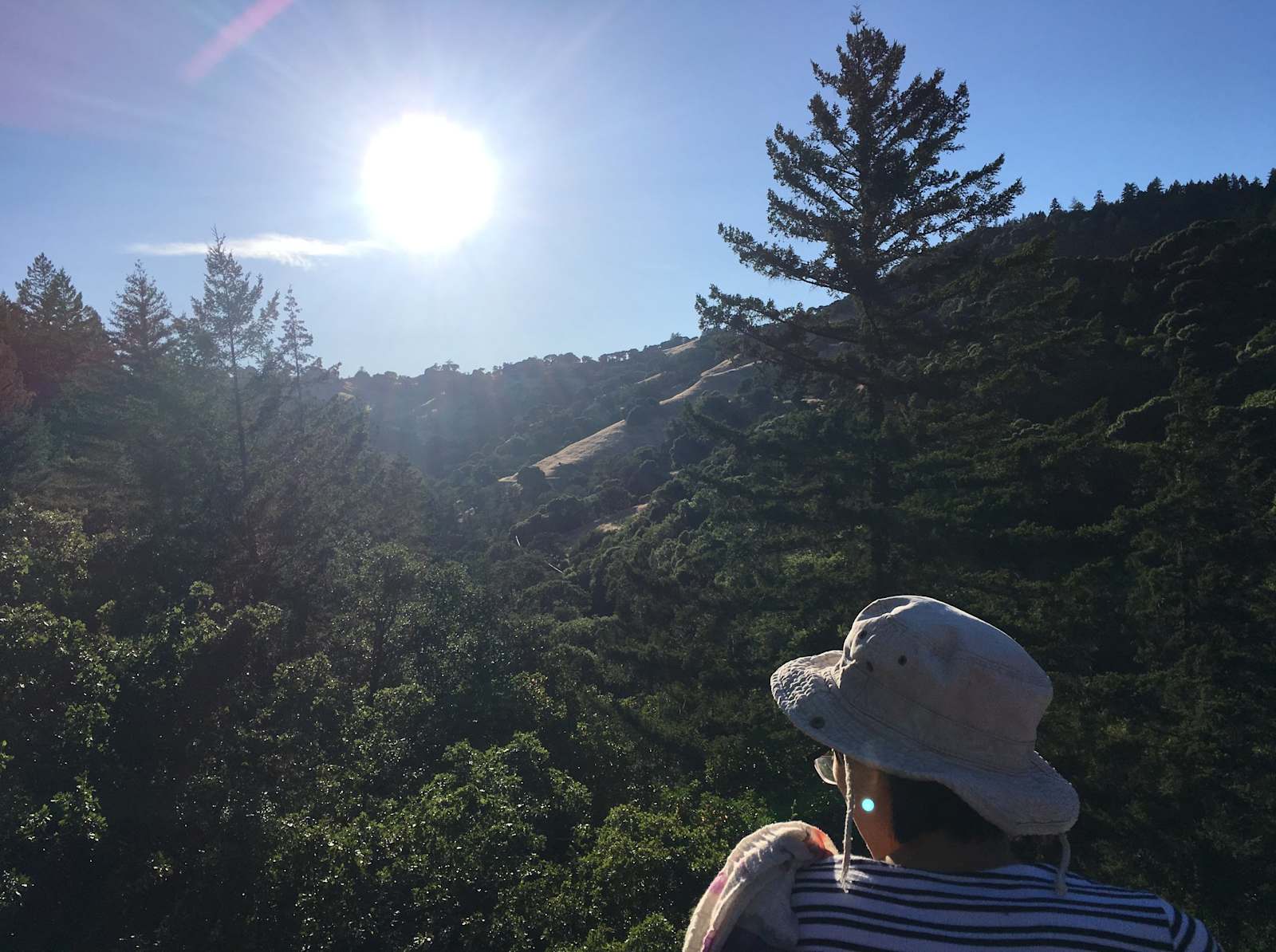 Mariposa Institute - Ukiah, California - glamping.directory