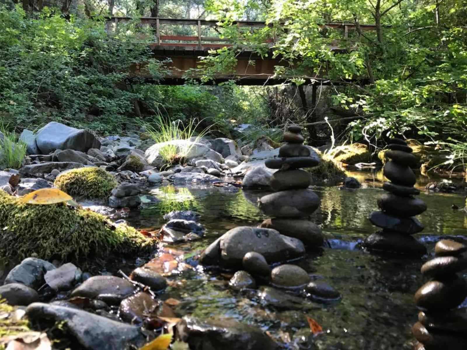 Mariposa Institute - glamping.directory