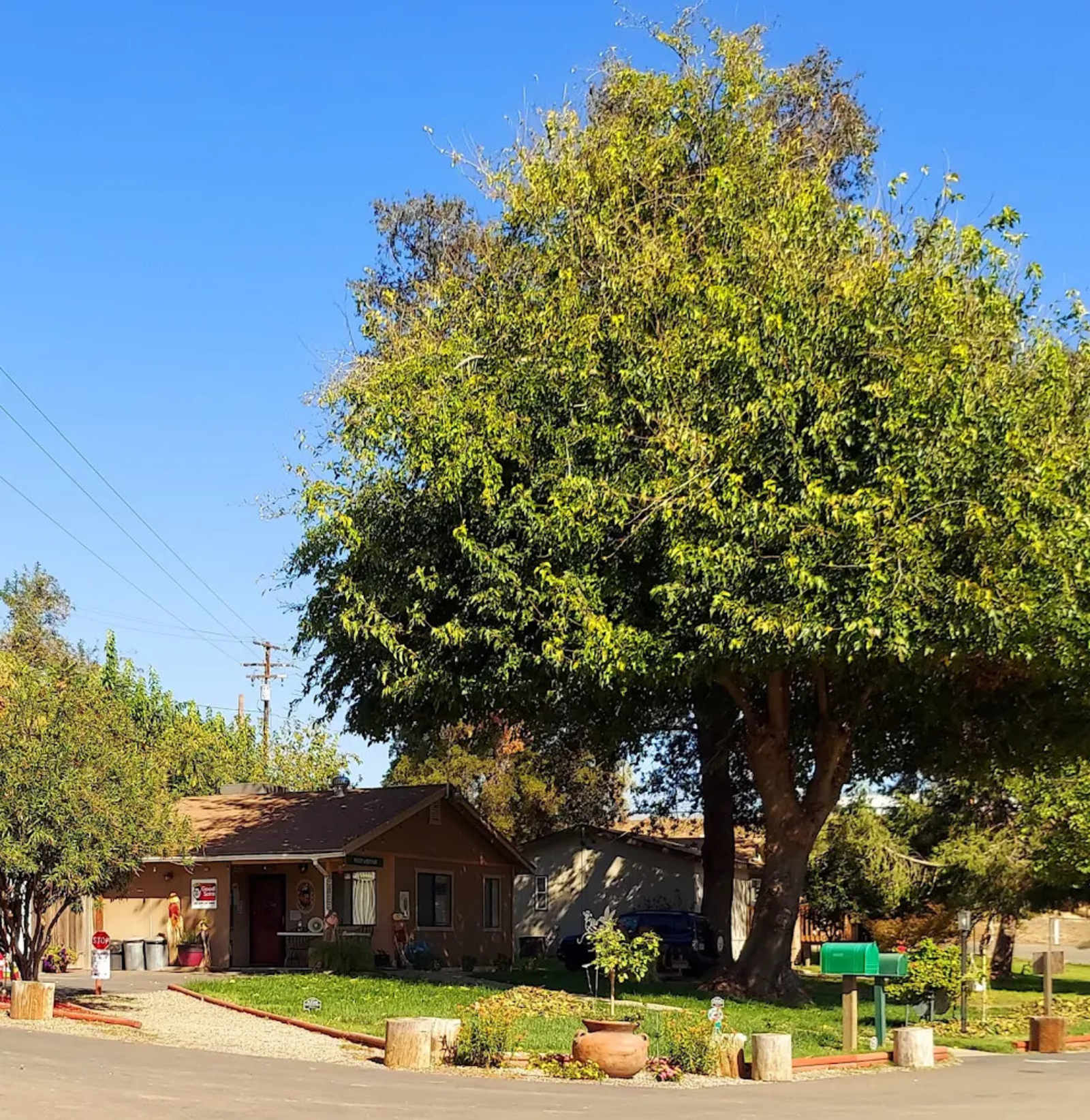 Merced River Resort - Delhi, California - glamping.directory