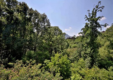 Luxury Log Cabin Rental with Private Hot Tub in Smoky Mountains of Sevierville, Tennessee - Sevierville, Tennessee - glamping.directory