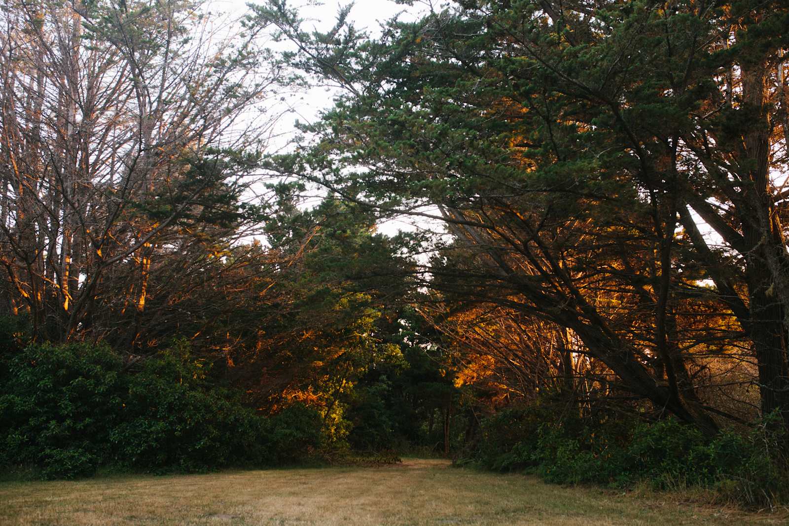 The 3 G Familia Farm - Manchester, California - glamping.directory