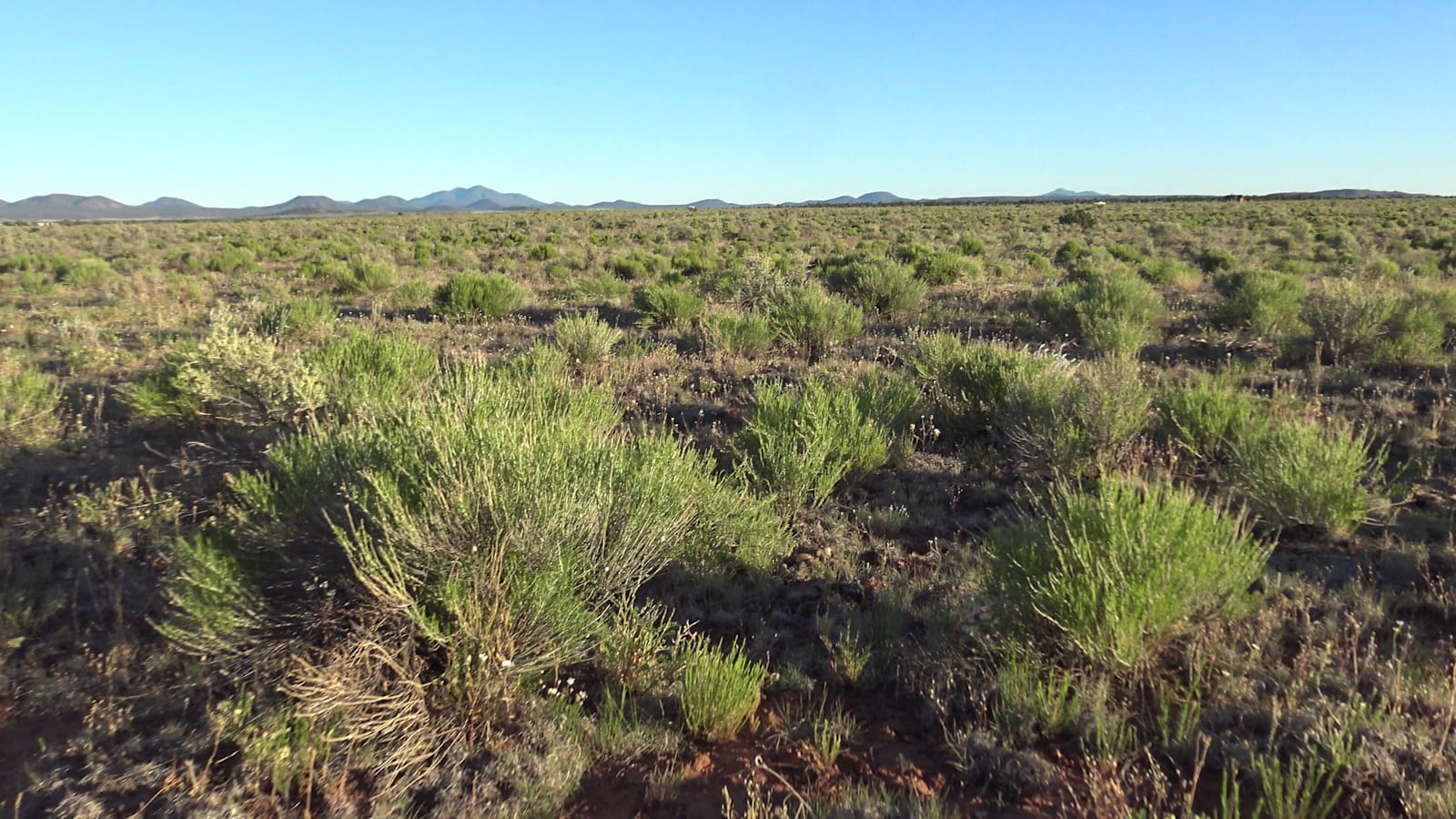 Peaceful Experience Ranch ππ - Williams, Arizona - glamping.directory