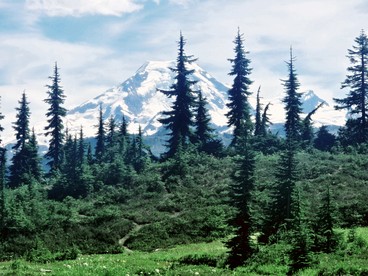 Gorgeous Mountain Cabin with Yard, Hot-Tub and Fire Pit in Washington - Deming, Washington - glamping.directory