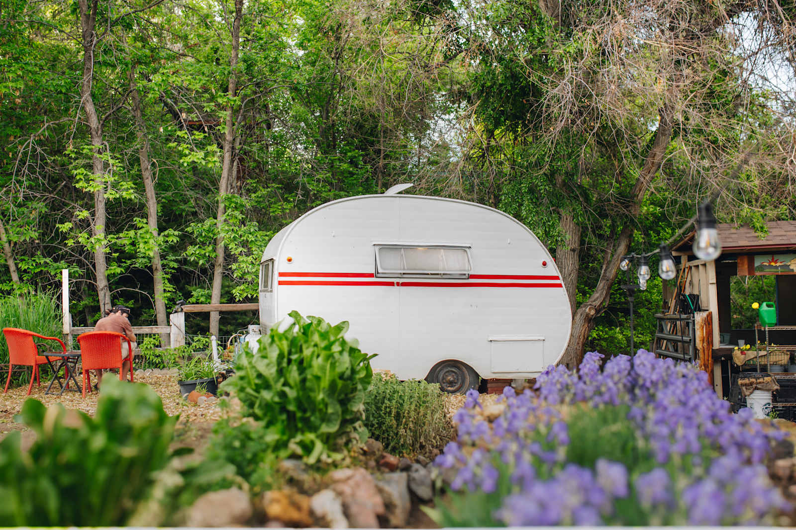 High Balsam Farm Stays - glamping.directory