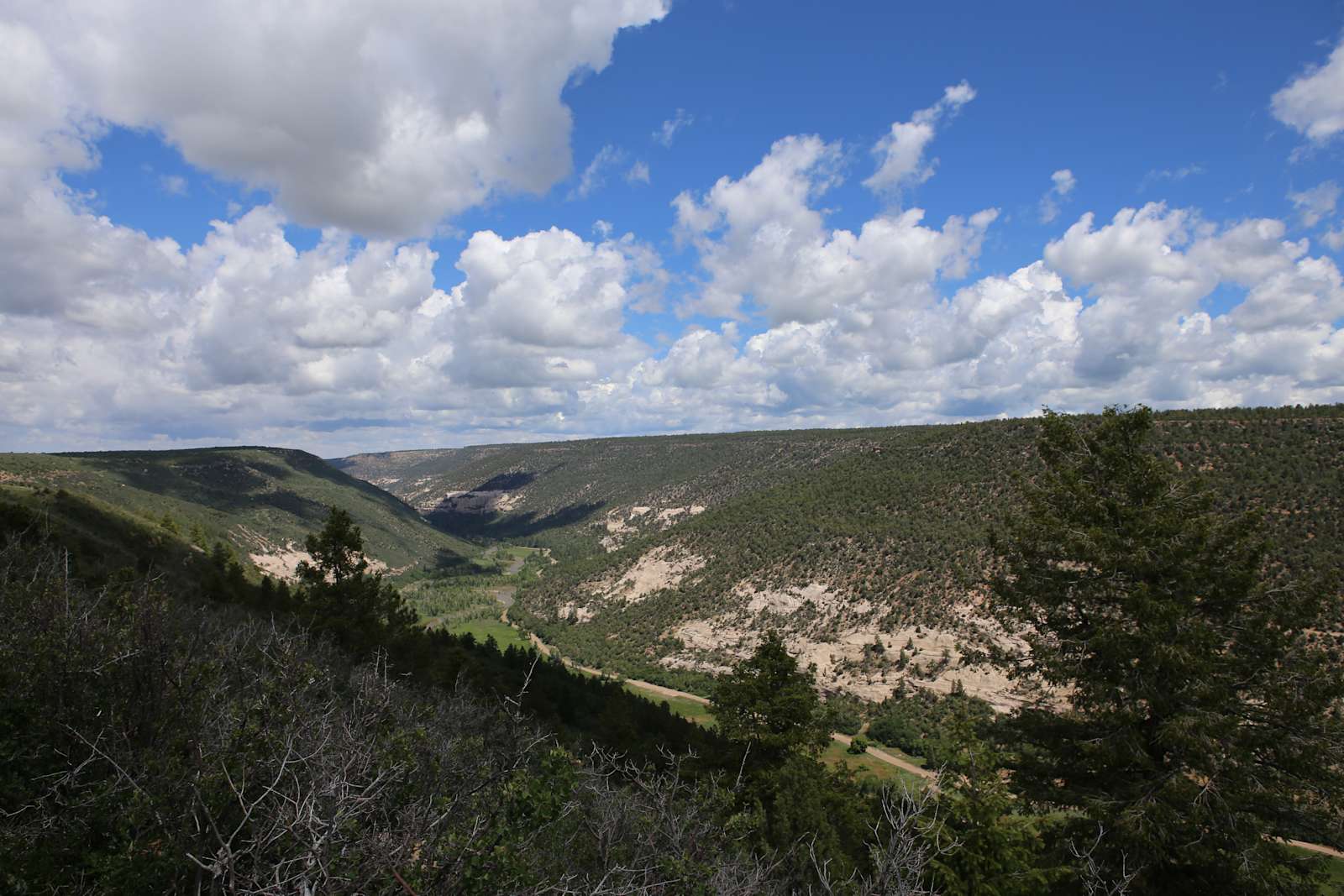 Dolores River Rim Camp - Lewis, Colorado - glamping.directory