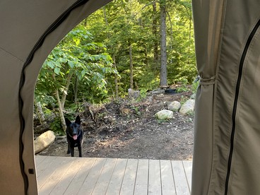 Reconnect with Nature at this Glamping Tent in East Wakefield, New Hampshire - Vacation Home - Wakefield, New Hampshire - glamping.directory