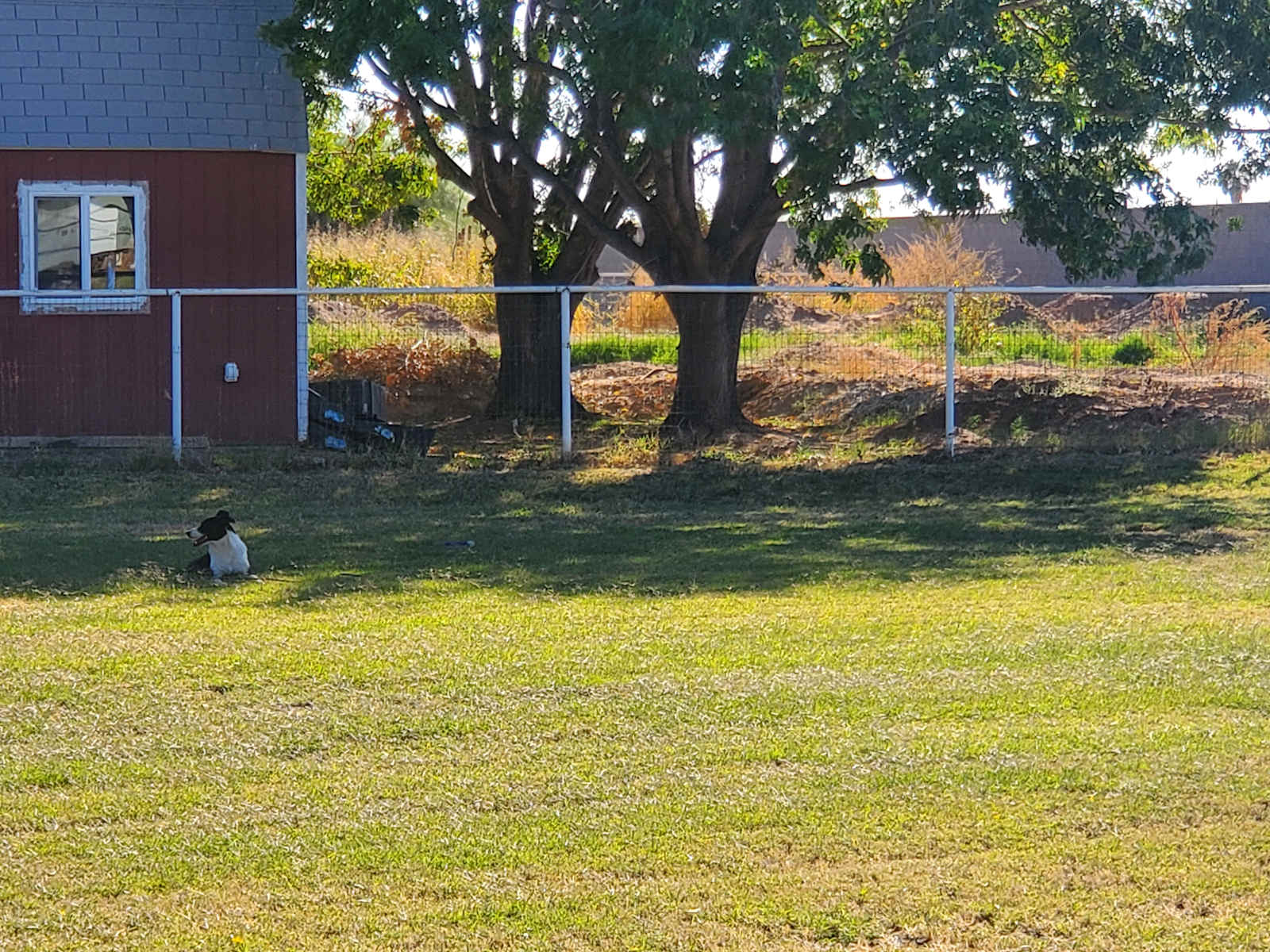 Suburban Pasture - Gilbert, Arizona - glamping.directory