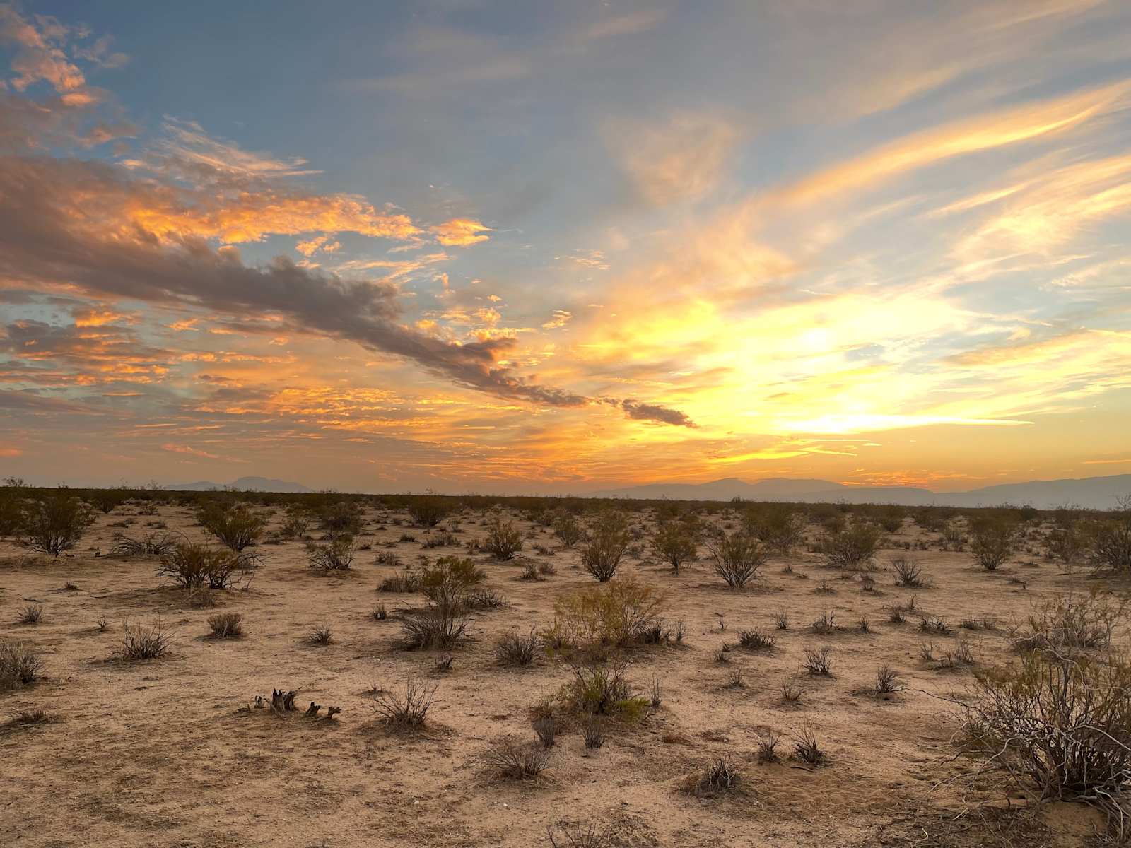 Happy Gray Coyote - California City, California - glamping.directory