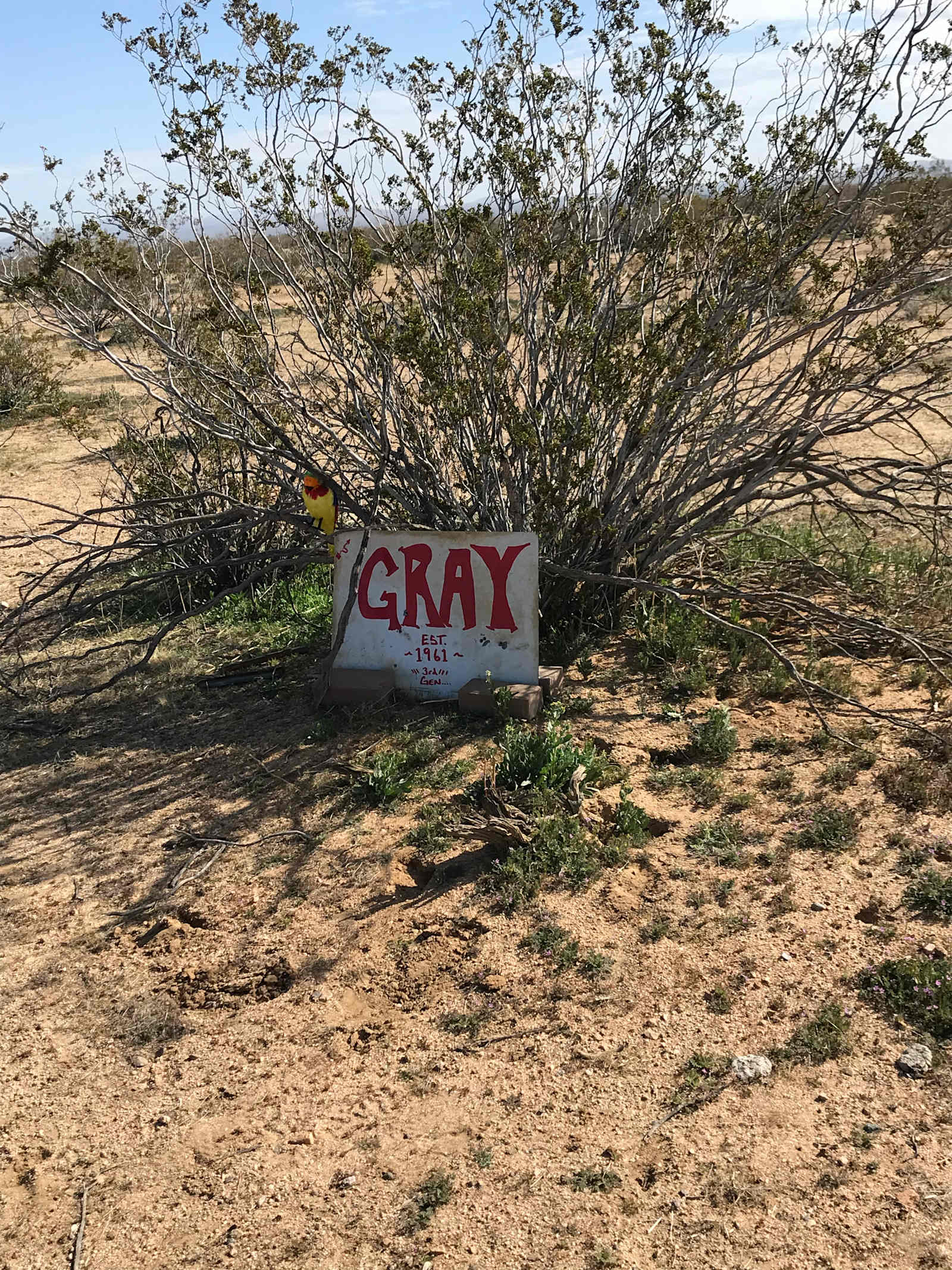 Happy Gray Coyote - California City, California - glamping.directory
