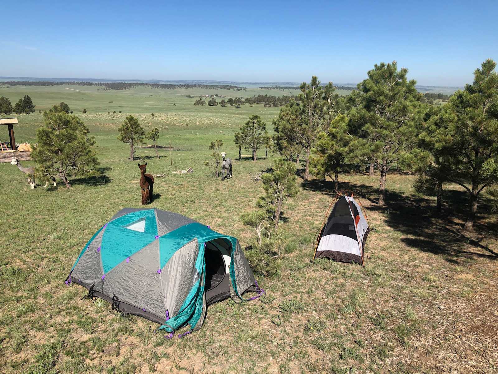 Harmony Ridge Farm - Ramah, Colorado - glamping.directory