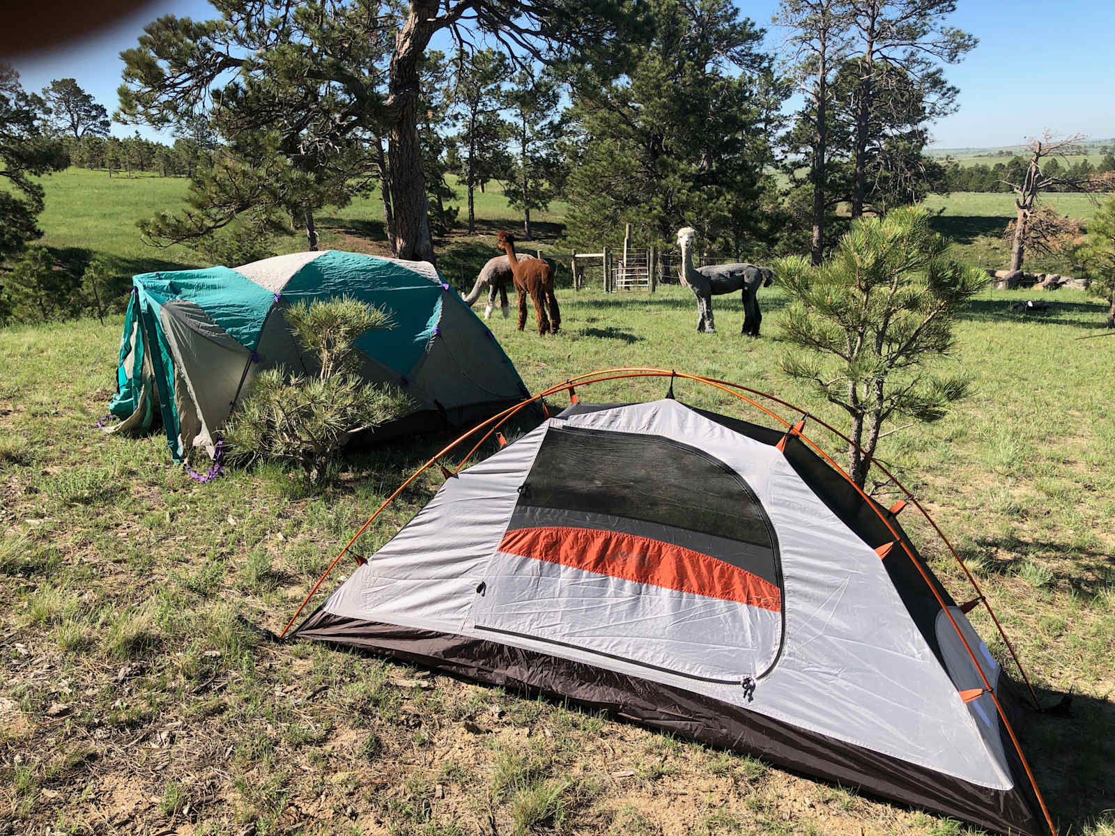 Harmony Ridge Farm - Ramah, Colorado - glamping.directory