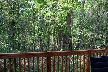 Quaint Cabin Ideal for a Secluded Getaway in Livingston, Texas - Livingston, Texas - glamping.directory