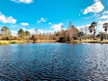 Rustic Cabin Rental on a Charming Farm near Orlando, Florida - Orlando, Florida - glamping.directory