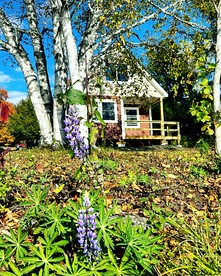 Magnificent Cabin Nestled Amidst Trees in Portage Lake, Maine - Portage Lake, Maine - glamping.directory