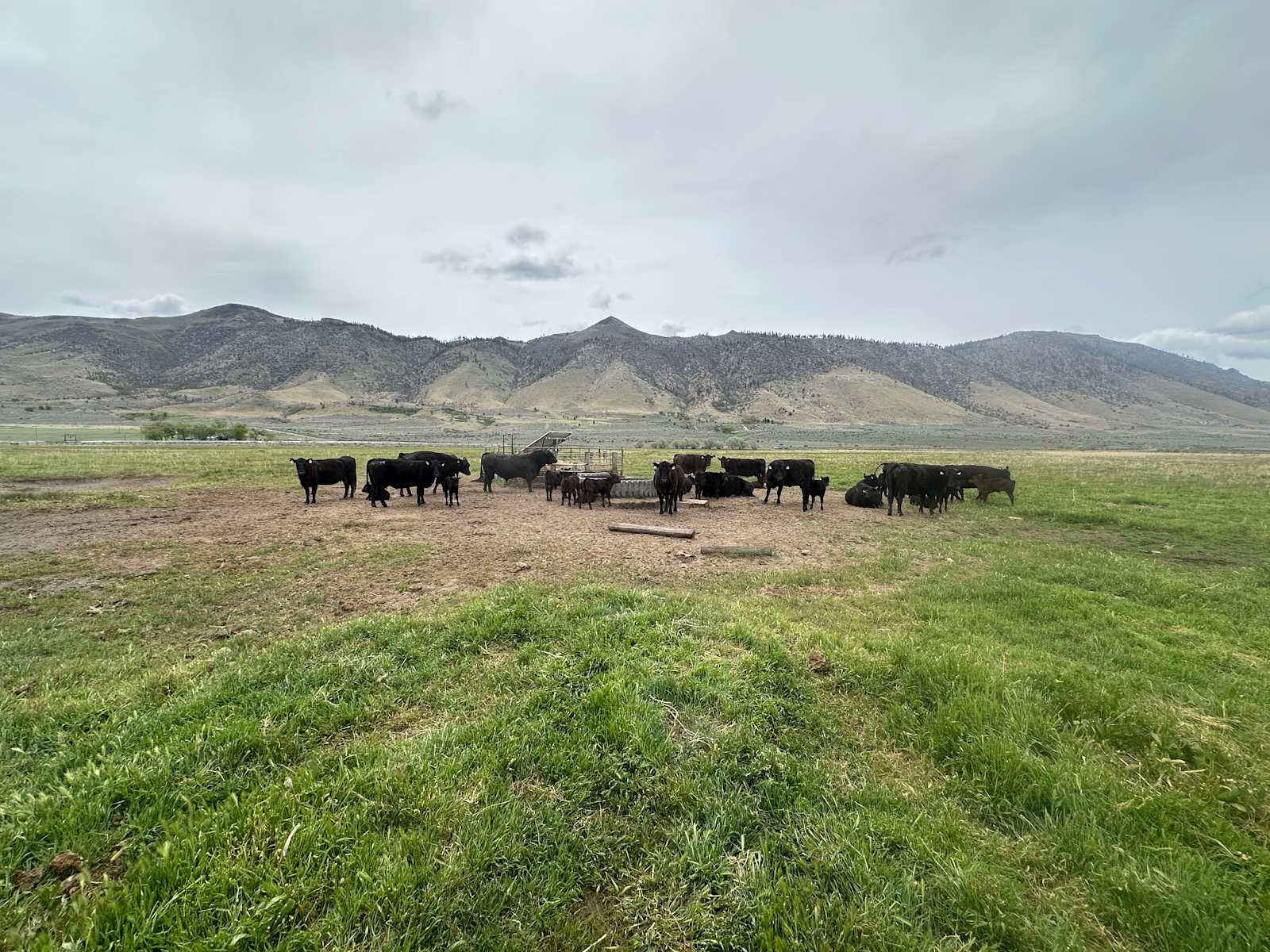 Missy’s Mountain Meadows - Doyle, California - glamping.directory