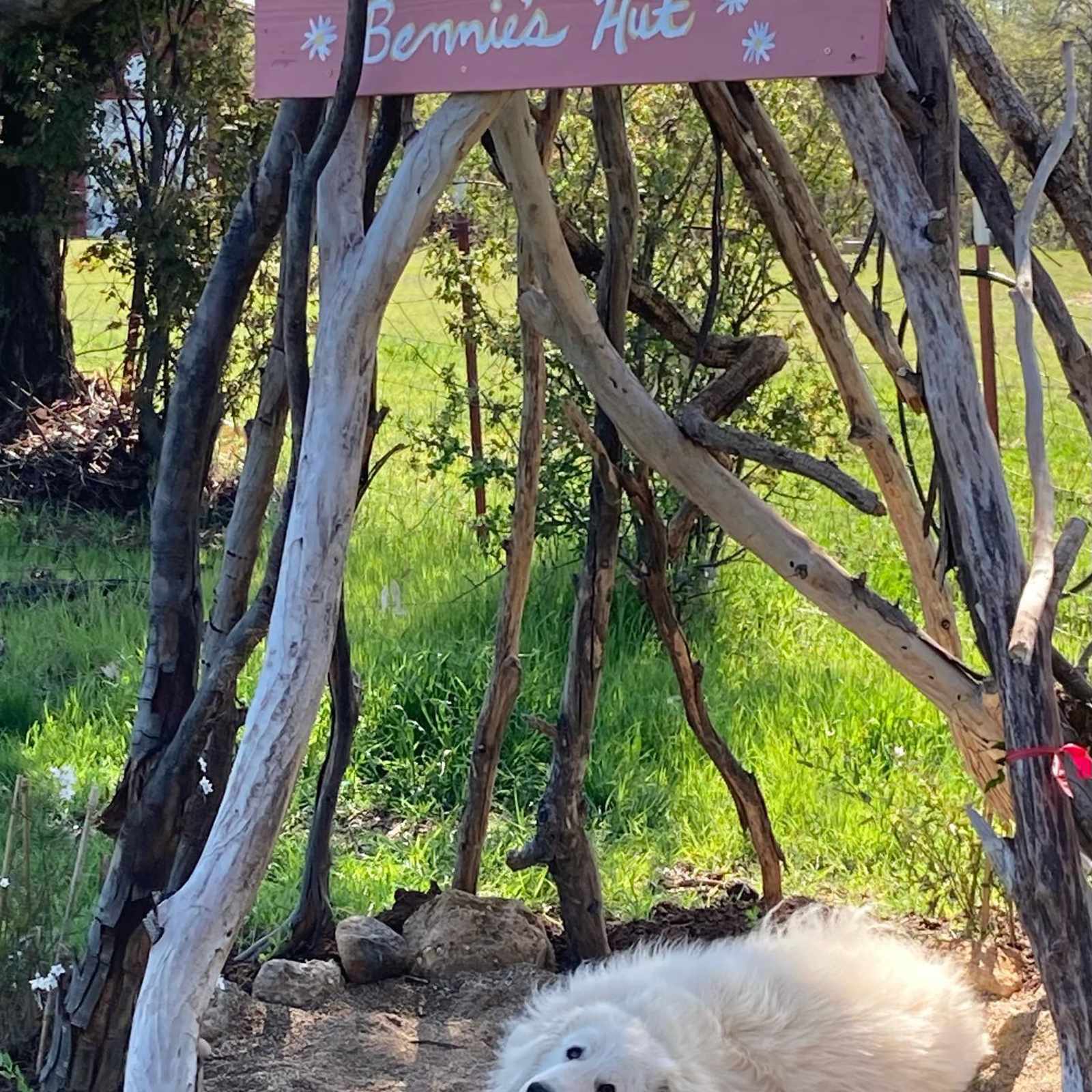 Happy Valley Roadhouse - Anderson, California - glamping.directory