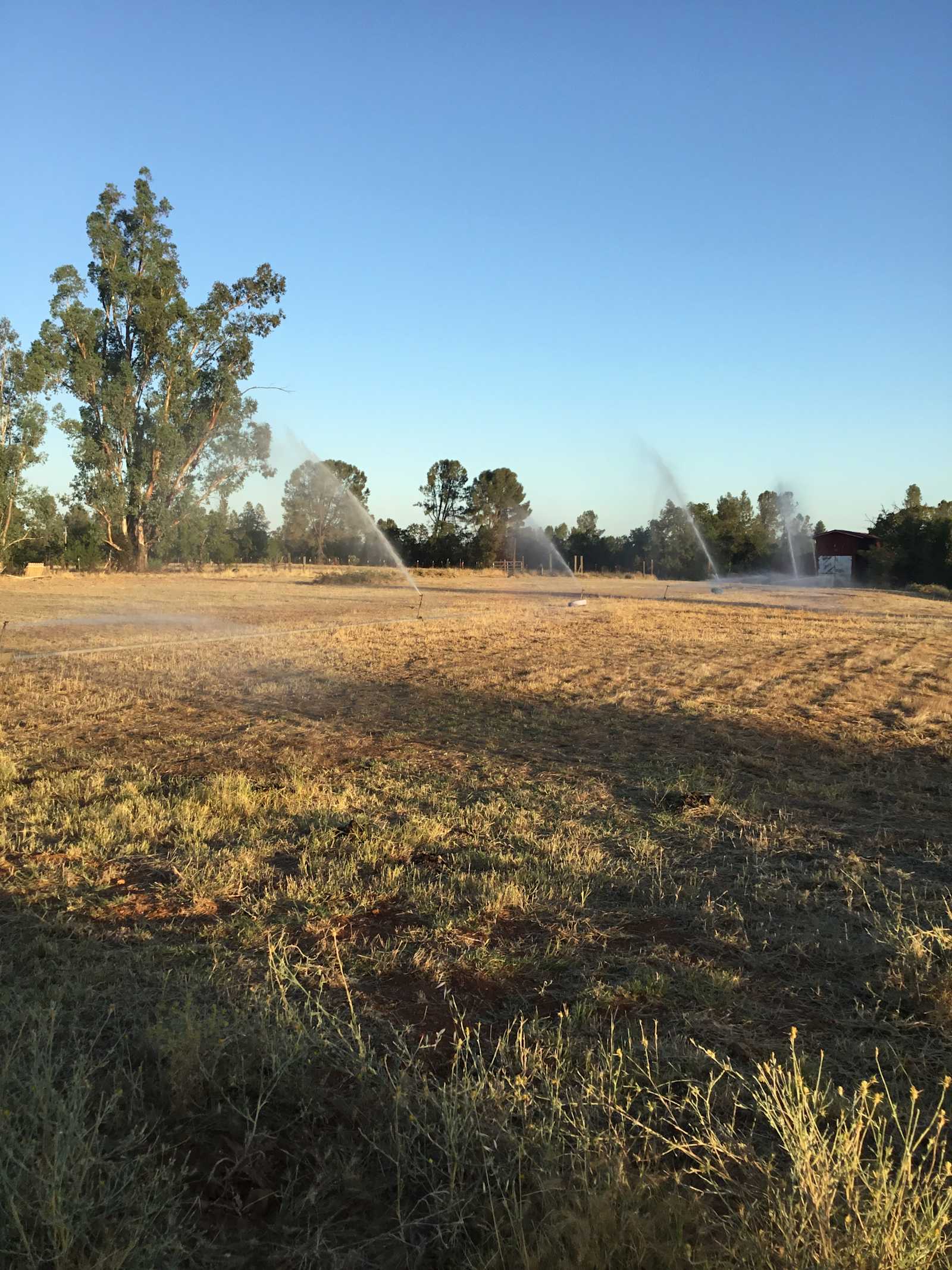 Happy Valley Roadhouse - Anderson, California - glamping.directory