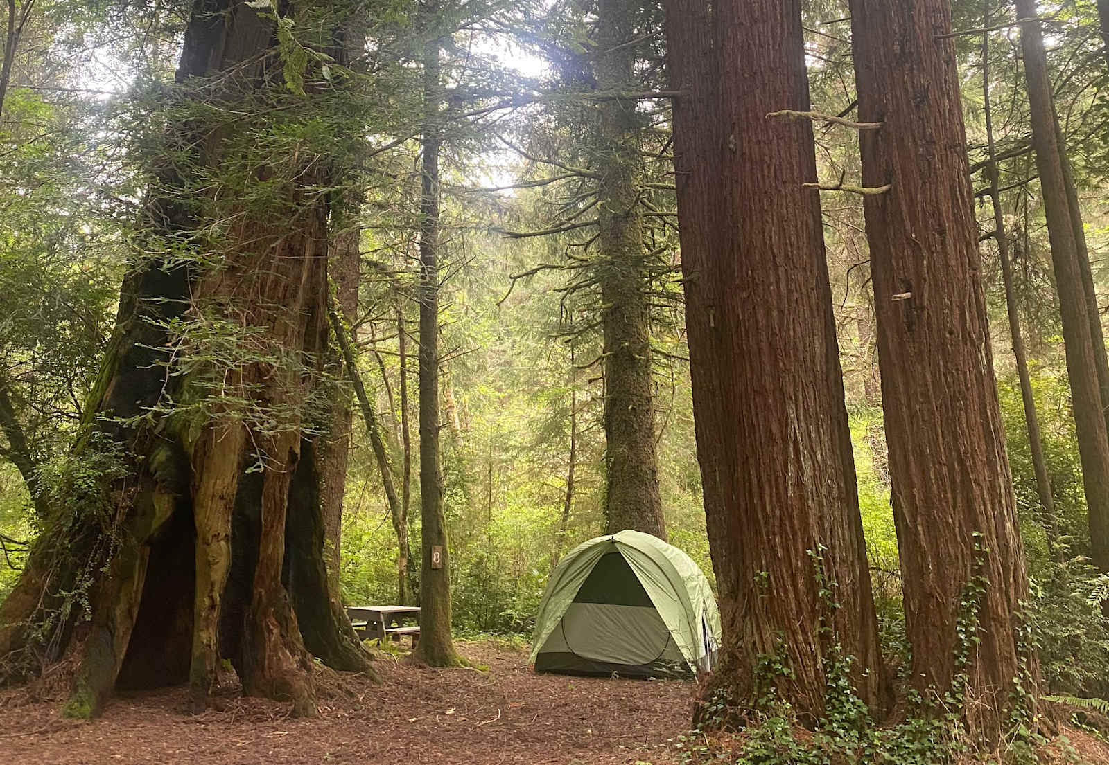 Mystic Forest Campground - glamping.directory