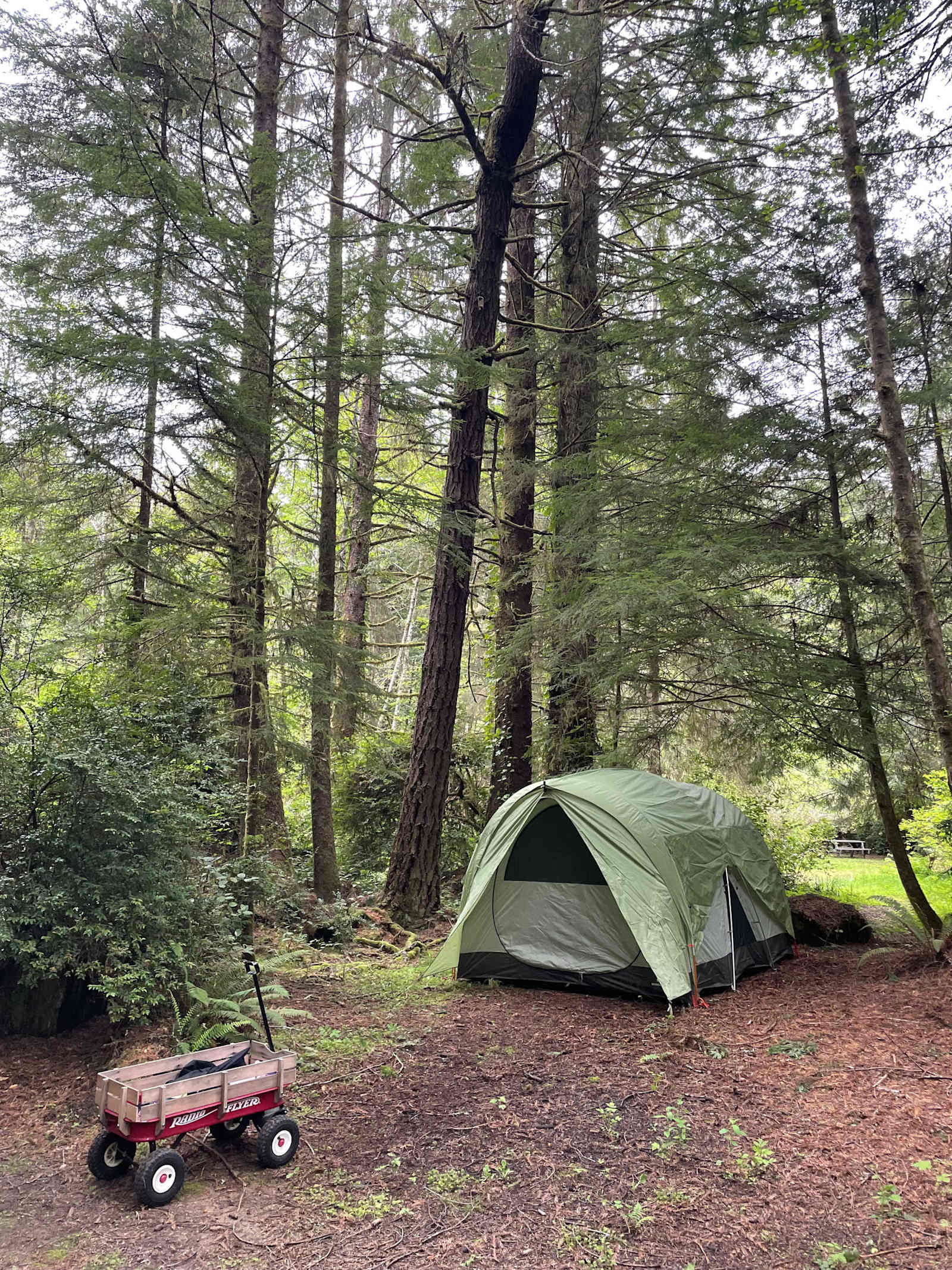 Mystic Forest RV Park - Klamath, California - glamping.directory