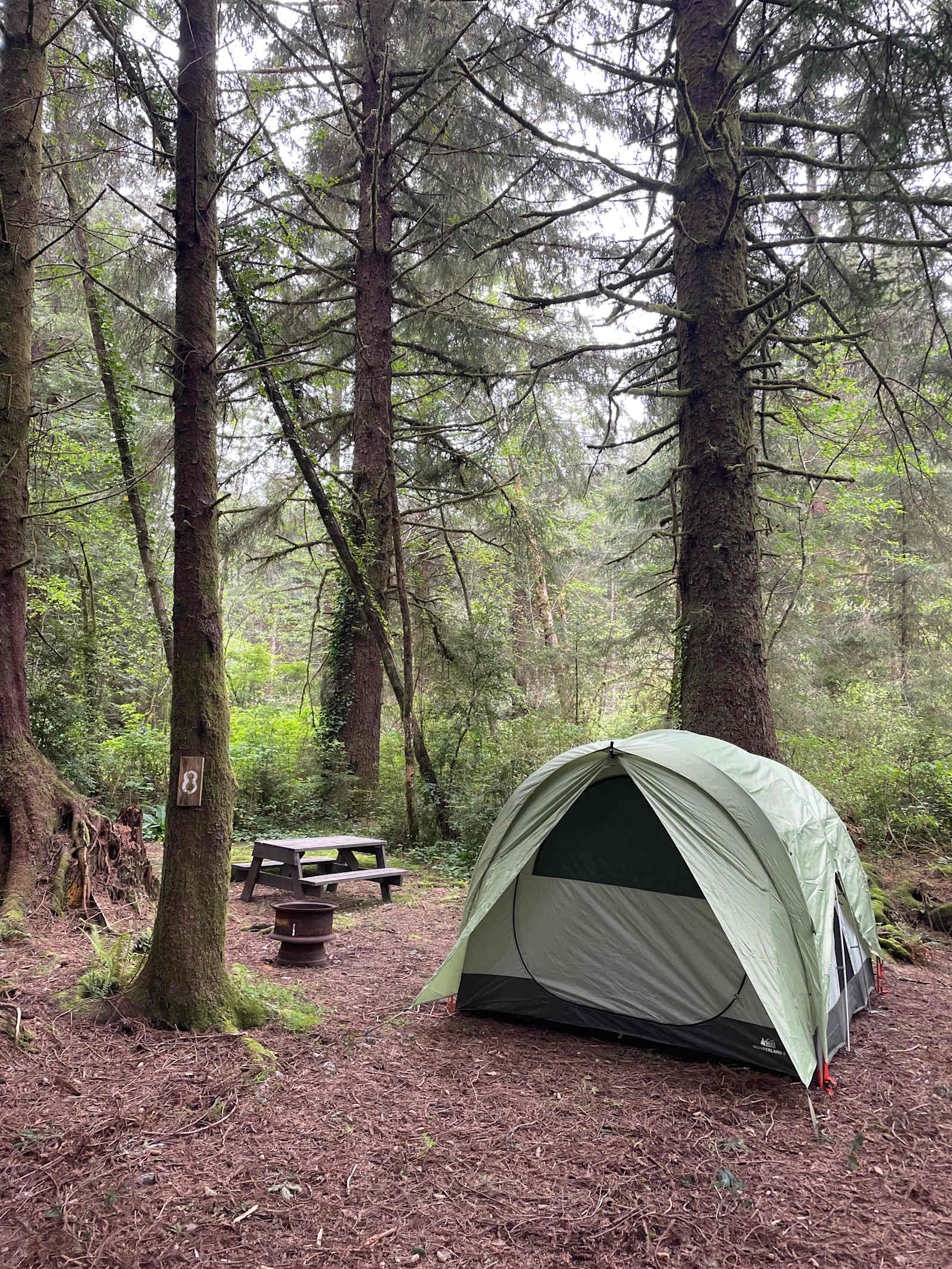 Mystic Forest RV Park - Klamath, California - glamping.directory