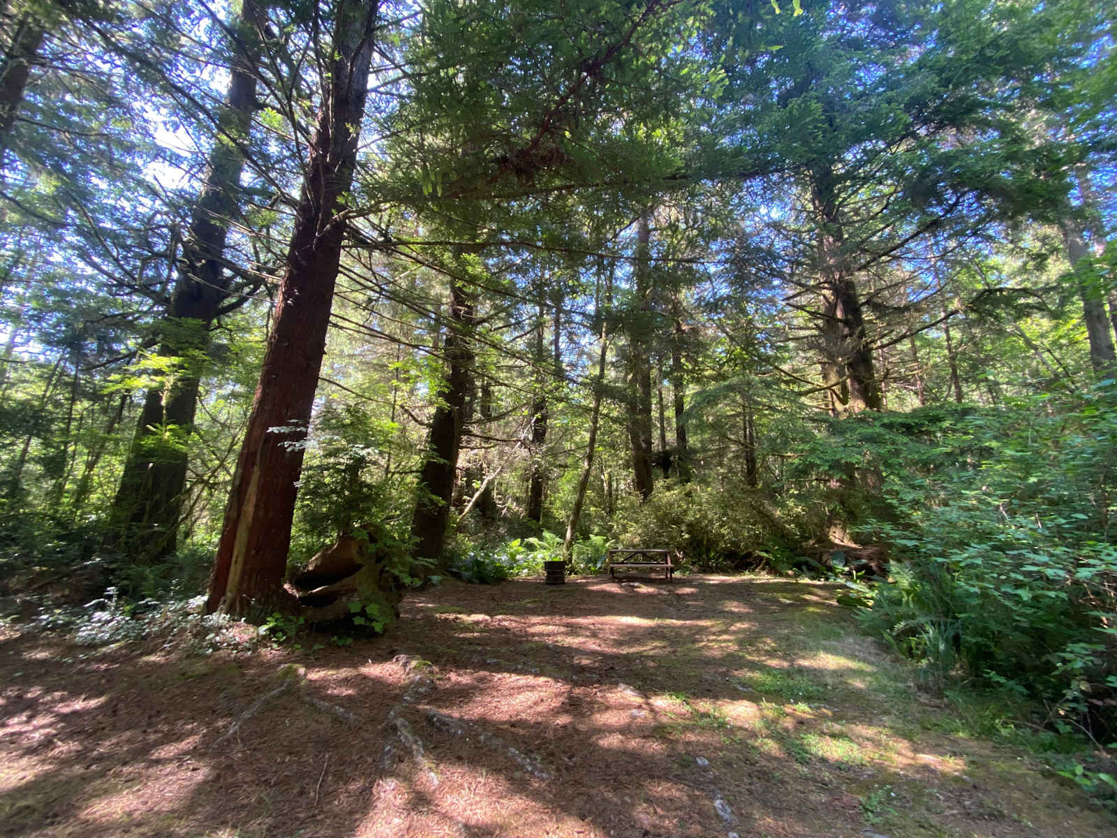 Mystic Forest RV Park - Klamath, California - glamping.directory