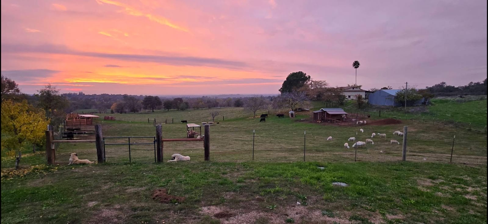 The Cotten Farm - glamping.directory